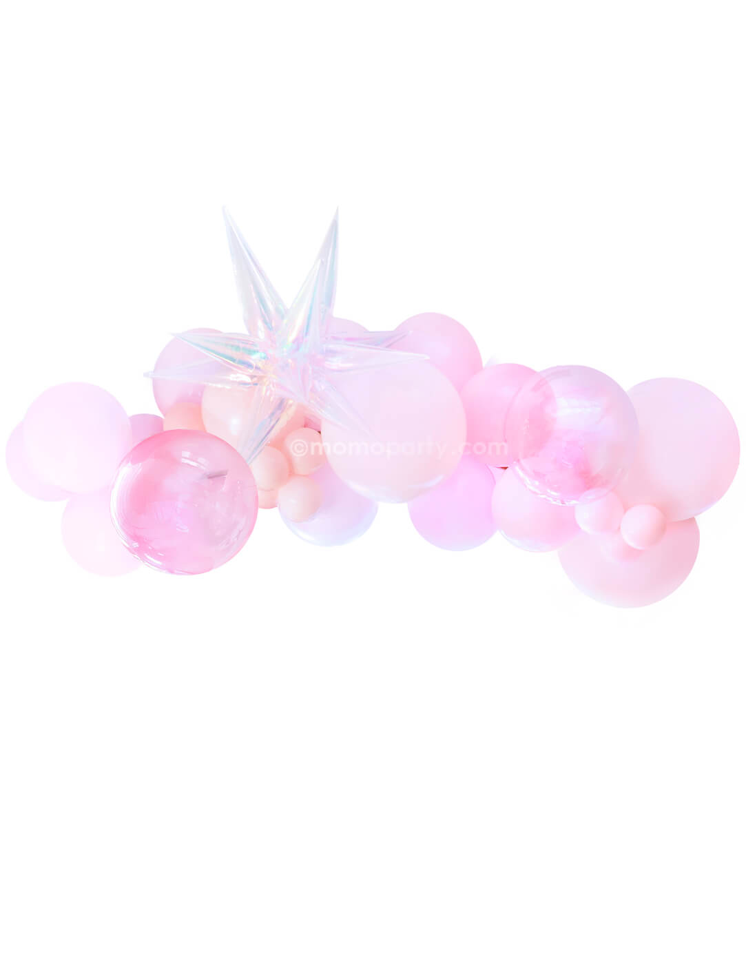 Party & Tableware