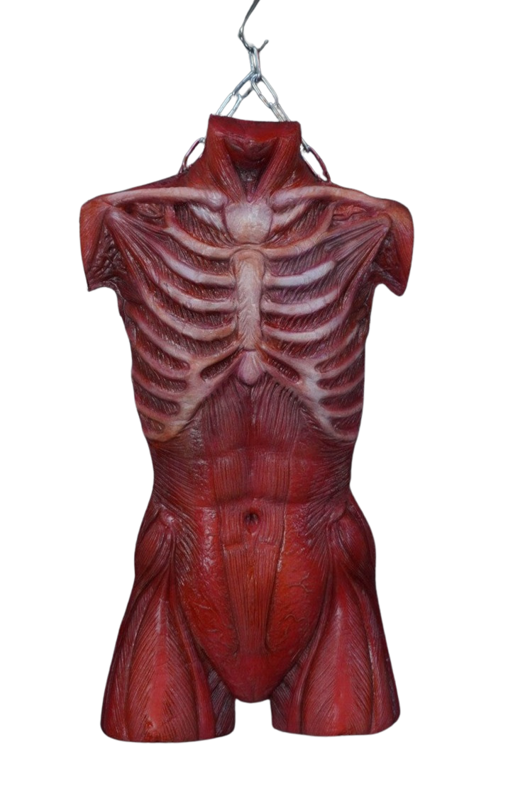 Horror Props
