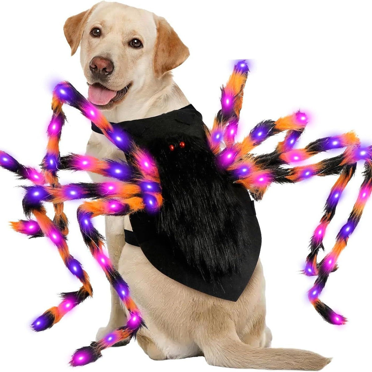 Pet Costumes