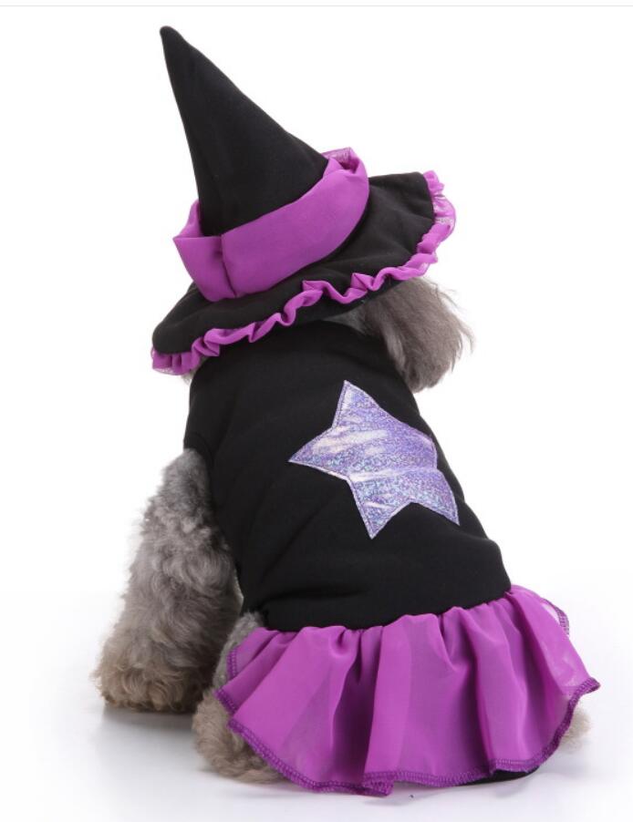 Spider Dog Halloween Pet Costume