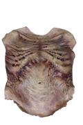 Zombie Torso Skin